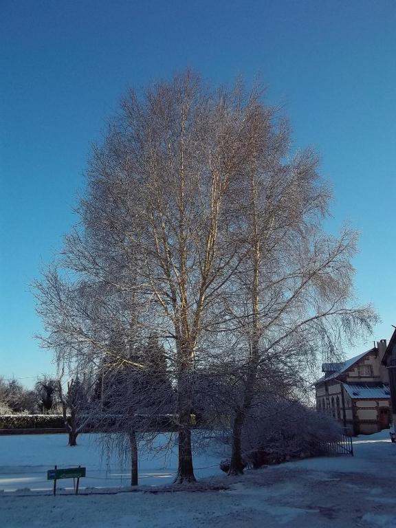 Le Cardonnet Bed & Breakfast Pont-Saint-Pierre Luaran gambar